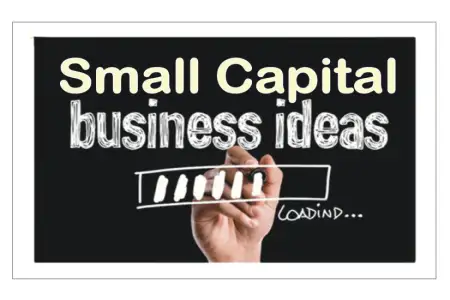 10 Profitable Business Ideas With Little Capital (Video)