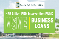 How to Access the N75 Billion FGN Intervention Fund for Micro, Small, and Medium Enterprises